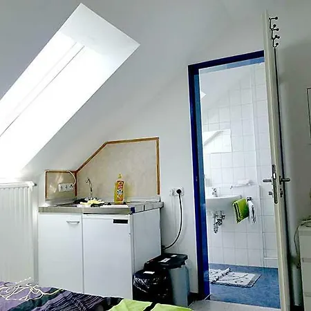 Appartement Angeln Am Regen - Angelhof Posl à Nittenau Extérieur photo
