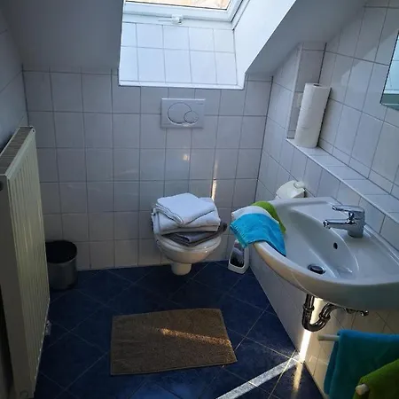 Appartement Angeln Am Regen - Angelhof Posl à Nittenau Extérieur photo